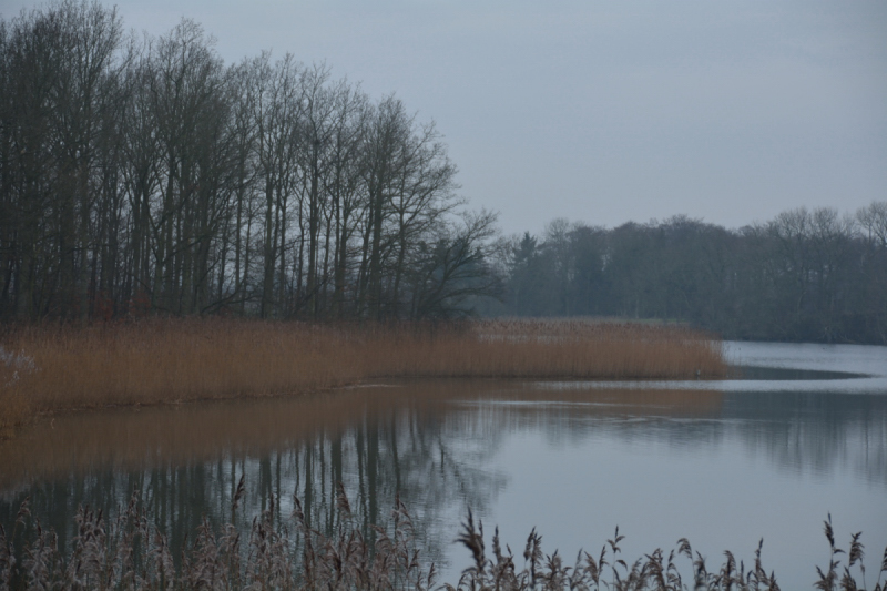 20131226_141239
