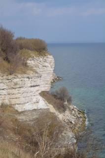 20140323_130135