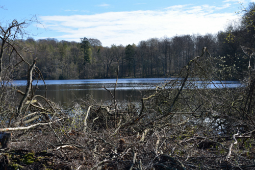 20140415_094401