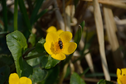 20140426_133904