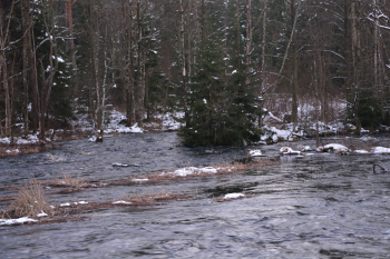 20150125_163020