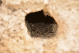 20150404_161056