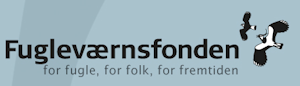 UpperBannerNewstyle