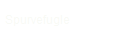 Spurvefugle