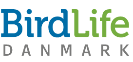 bird-life-dk