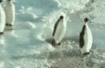image0010