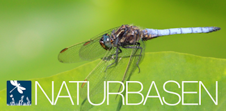 naturbasen_800