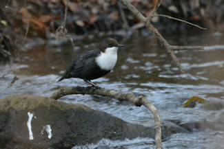 vandstr 2 20201212_125407
